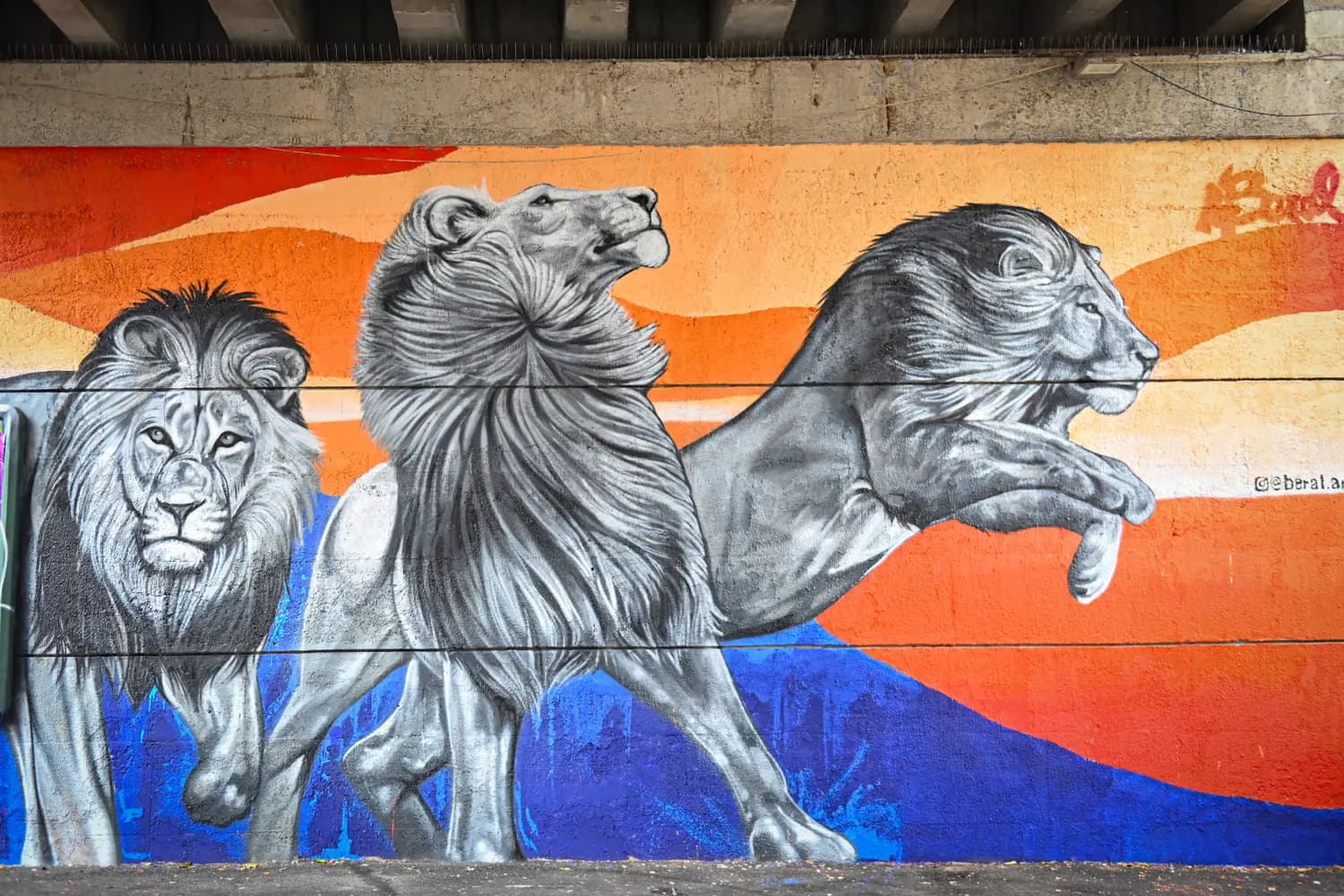 Fresque bleue avec lions et matière peinte